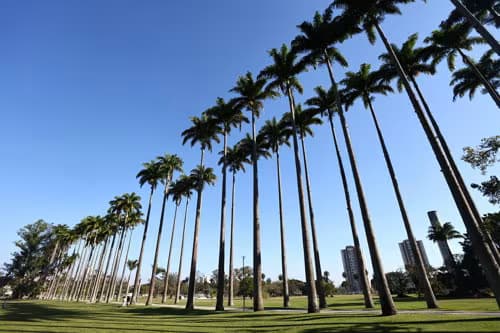parque-cidade-103379