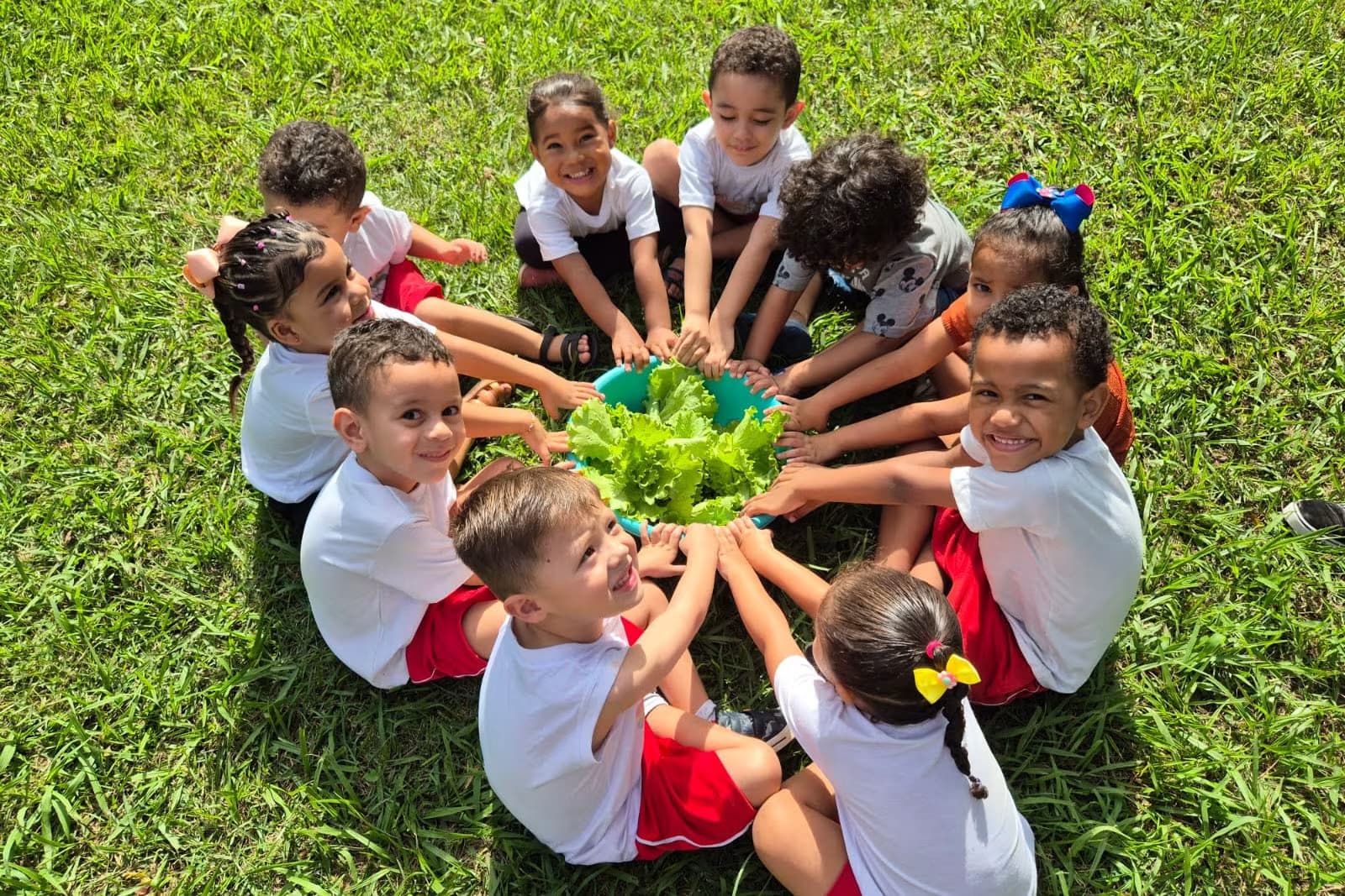 Hortas_em_Escolas-998042