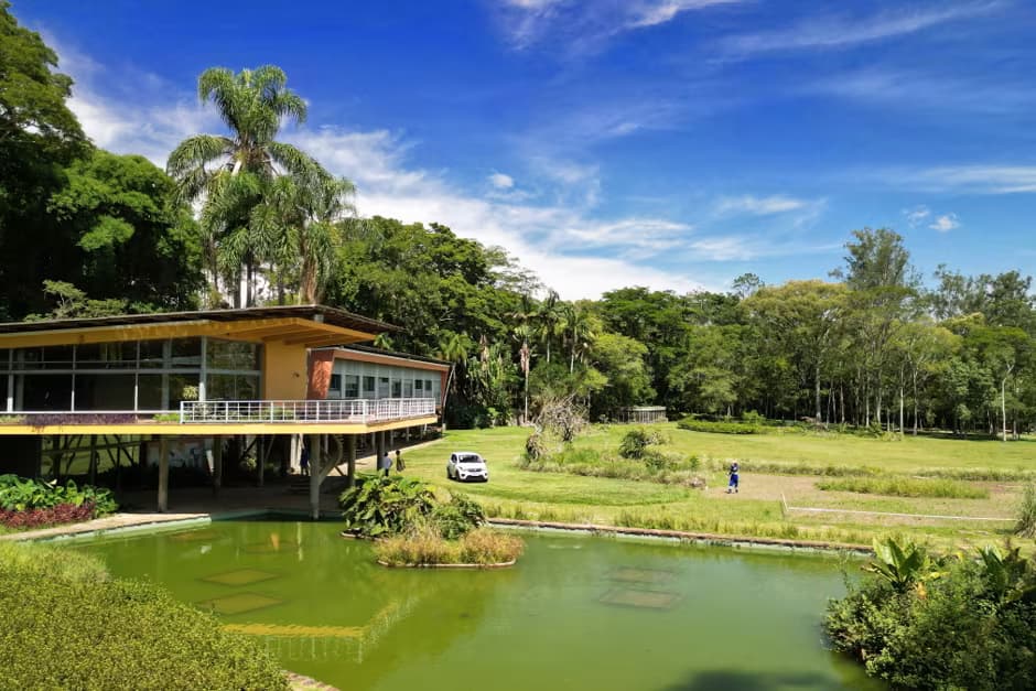 parque_da_cidade-539945