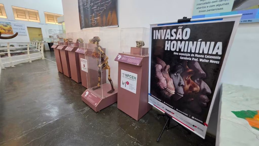 Foto: Divulgação/Museu de História Natural de Taubaté