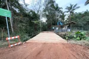 zzponte1 (1)