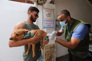 Foto: Reprodução/Secretaria de Comunicação de Jacareí