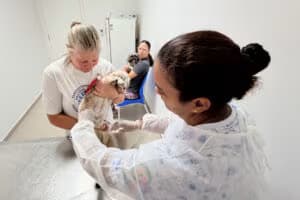 Foto: Reprodução/Claudio Vieira/PMSJC