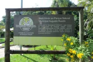 augusto20ruschi-945115_940-627-0-0-929628