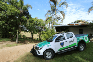 Caminhonete_4X4-843559