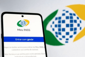 INSS-420098