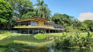 Parque da Cidade