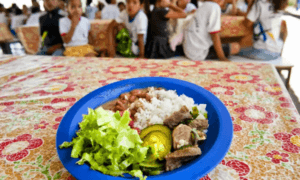 prato_de_comida-337208
