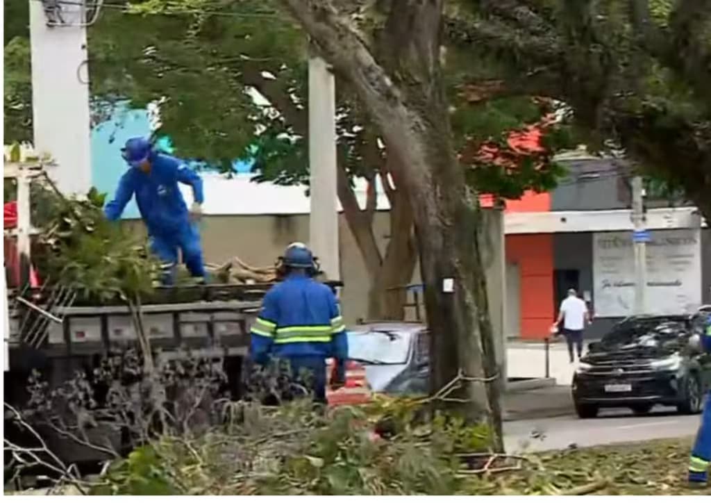 Texto_do_seu_paragrafo_-_2025-09-23T091628.919-912241