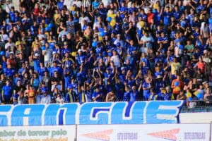 Torcida_do_Sao_Jose_no_estadio_Martins_Pereira_-_Sao_Jose_EC_x_Capivariano_-_Campeonato_Paulista_da_Serie_A3_2023_-_Final-951963