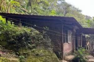 crime_machado_sao_sebastiao-782713
