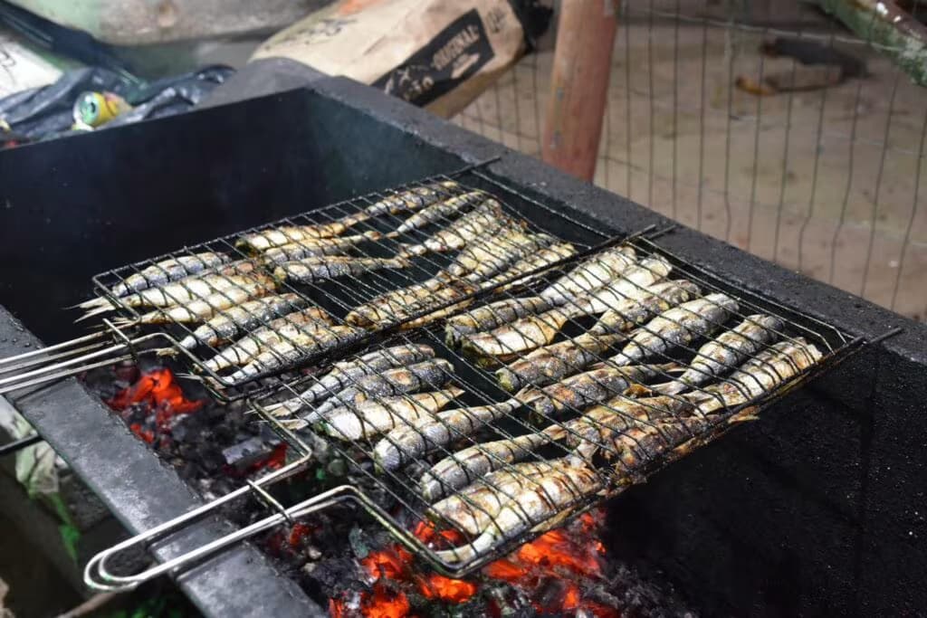 FESTIVAL SARDINHA ILHABELA (3)