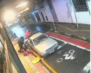 Reprodução