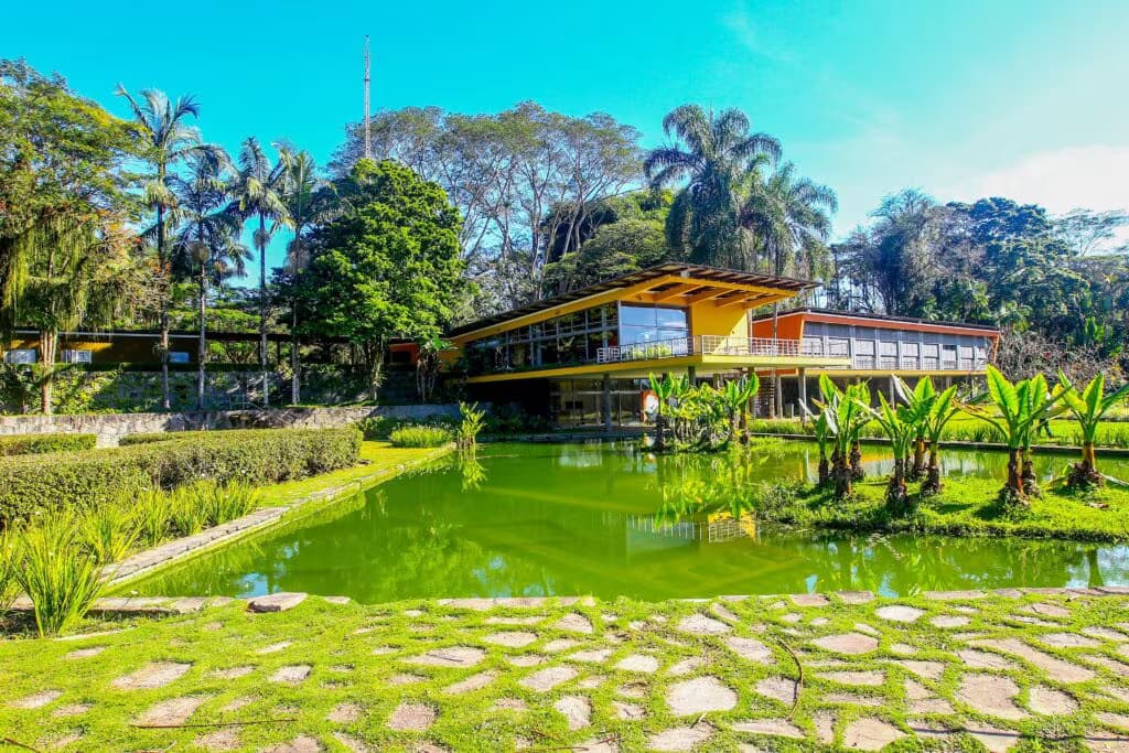 casa-olivo-gomes