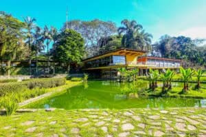 casa-olivo-gomes