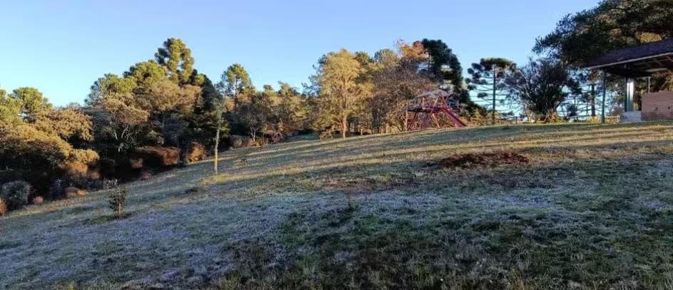 campos geada