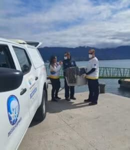Foto: Divulgação\ Prefeitura de Ilhabela