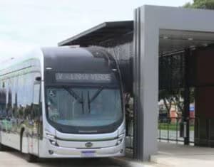 linha verde