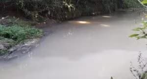 Divulgação/Prefeitura de Campos do Jordão