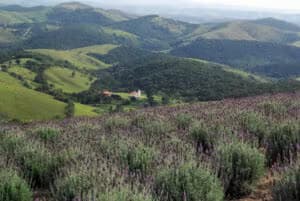 Foto: Prefeitura de Cunha