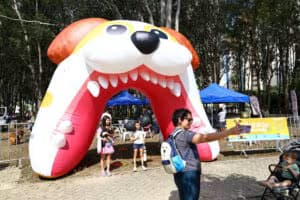 Foto: Reprodução/Claudio Vieira/PMSJC