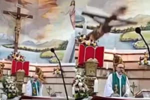 Reprodução/Redes Sociais