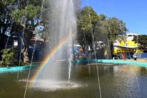 Foto: Reprodução/PMSJC