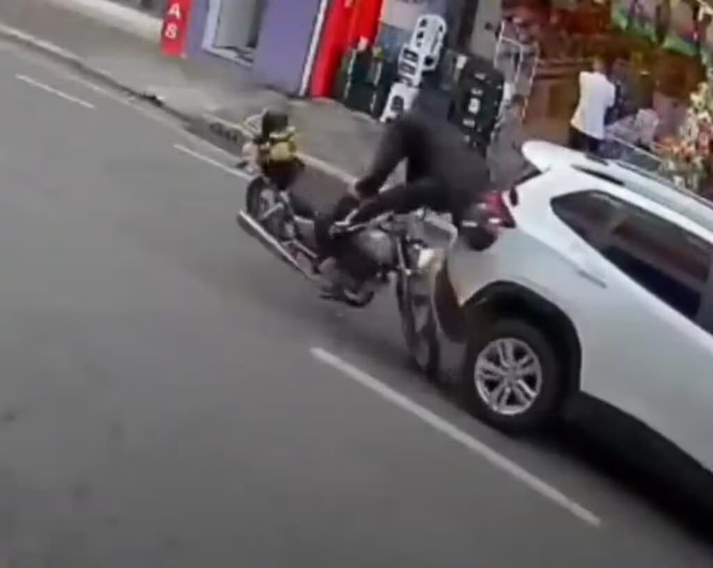 Reprodução