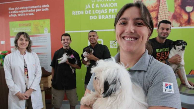 Banho e Tosa Archives - Petland Brasil