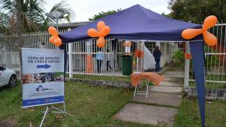 feira_adocao_ccz_28_09_2019_lucas_cabral_06