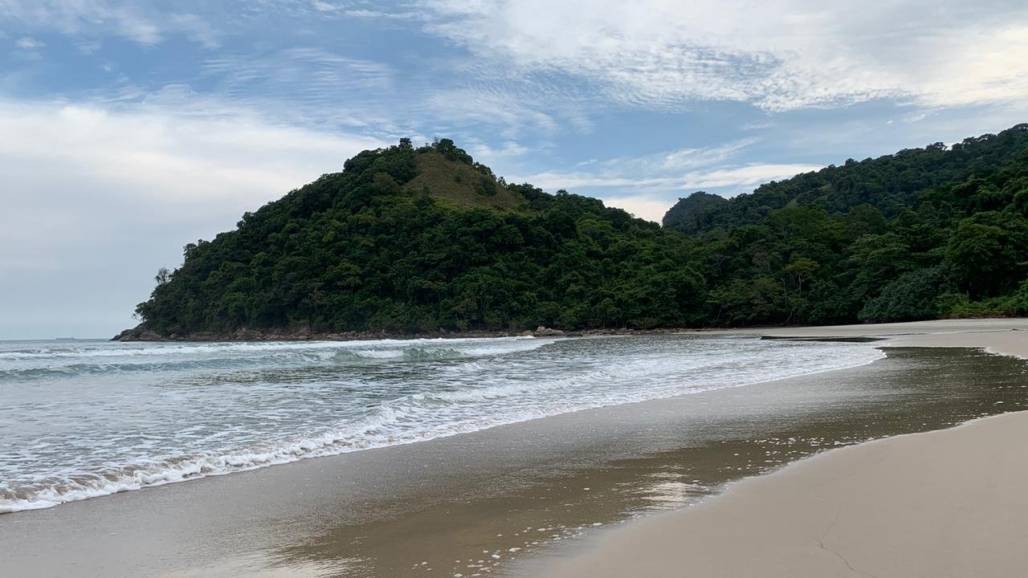 praias limpas LN (Cláudio Rodrigues | Meon ) praias limpas LN (Cláudio Rodrigues | Meon )