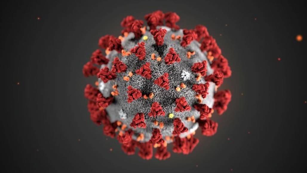 coronavirus-753287 (Reprodução/Agência Brasil) coronavirus-753287 (Reprodução/Agência Brasil)