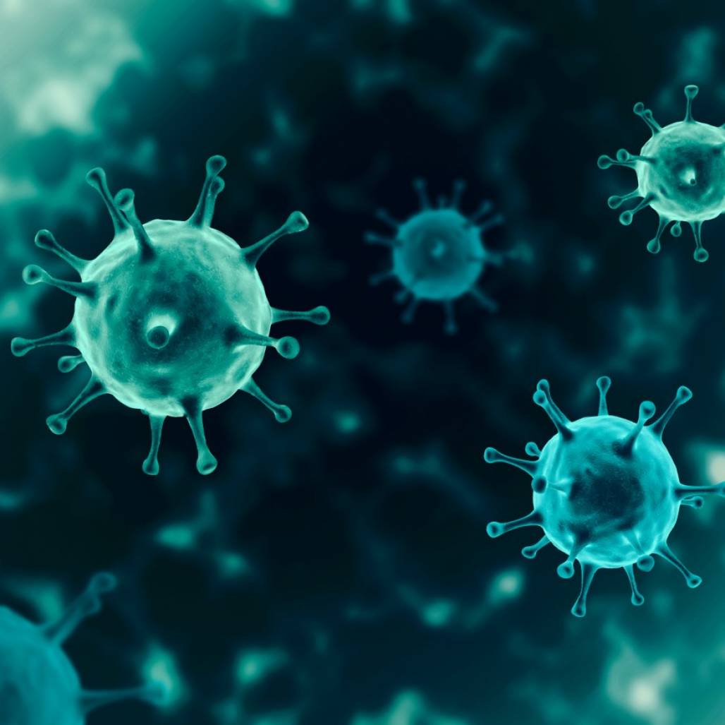 pandemia pandemia