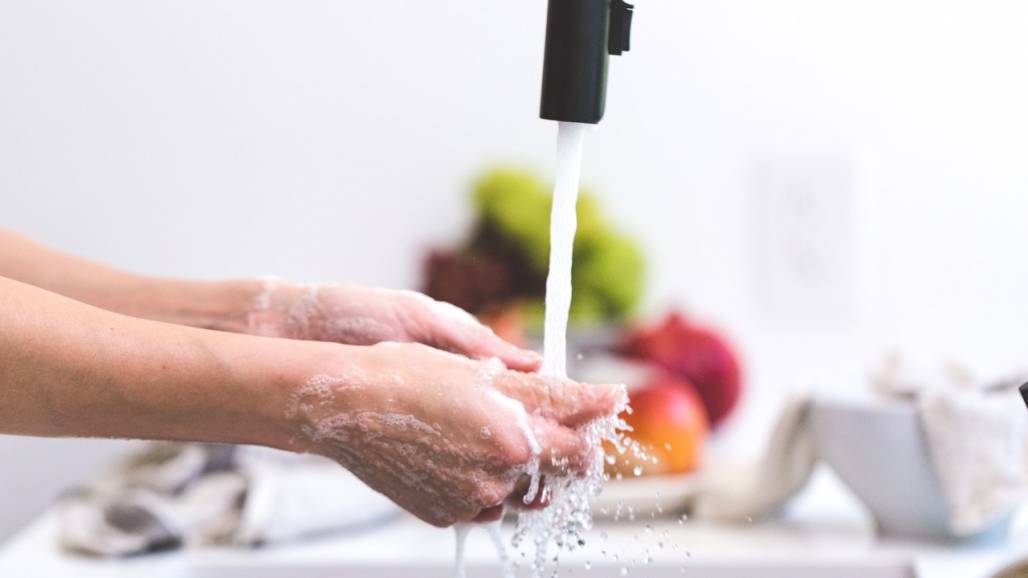 Alimentos Alimentos
