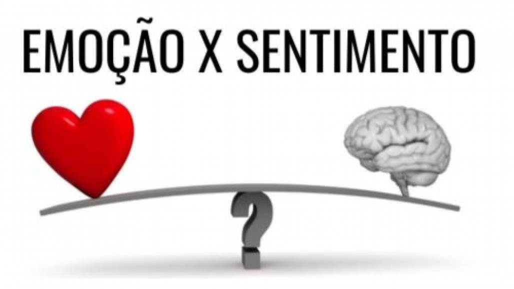 sentimentos (Foto: Reprodução/Pedro Calabrez) sentimentos (Foto: Reprodução/Pedro Calabrez)