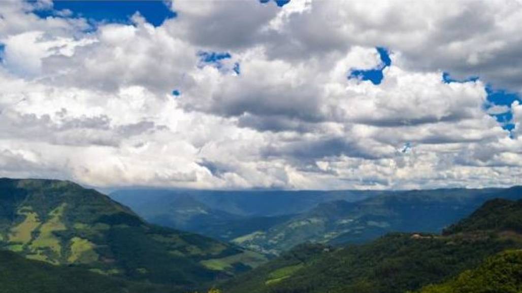 dia da mata atlântica (Foto: Reprodução/Pixabay) dia da mata atlântica (Foto: Reprodução/Pixabay)