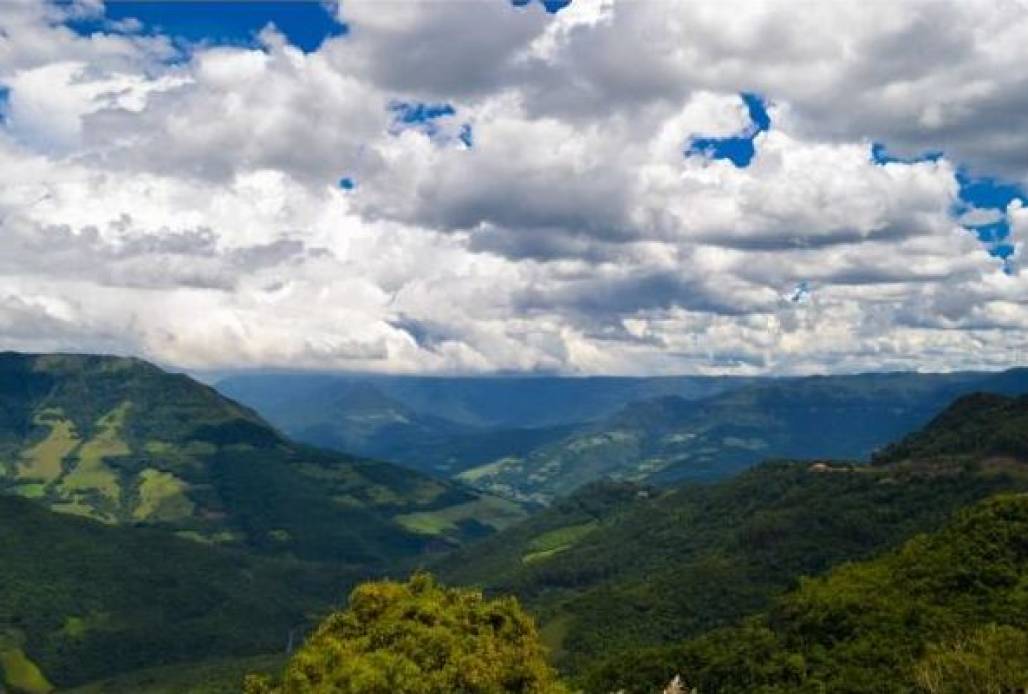 dia da mata atlântica (Foto: Reprodução/Pixabay) dia da mata atlântica (Foto: Reprodução/Pixabay)