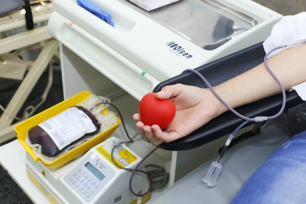 doação de sangue (Foto: Reprodução) doação de sangue (Foto: Reprodução)