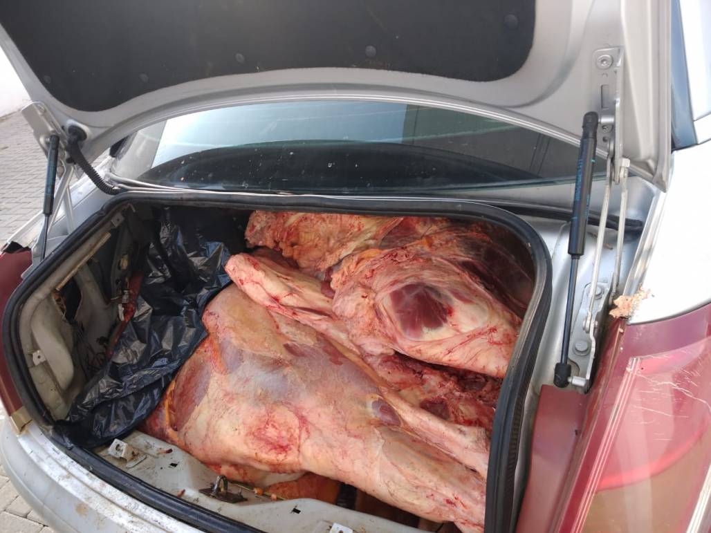 Carnes estragadas em Pinda 1 (Divulgação/Polícia Civil) Carnes estragadas em Pinda 1 (Divulgação/Polícia Civil)
