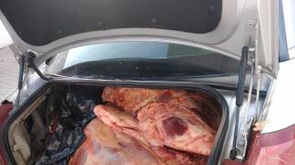 Carnes estragadas em Pinda 1 Carnes estragadas em Pinda 1