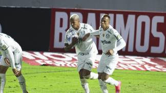 Palmeiras Palmeiras