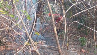 fogo chapada veadeiros fogo chapada veadeiros