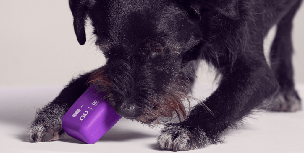 Nudog (Divulgação: Nubank) Nudog (Divulgação: Nubank)