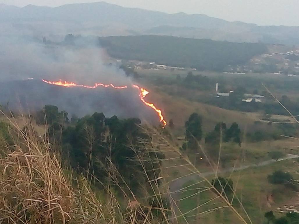 incendio no parque do itaim (Divulgação/Defesa Civil de Taubaté) incendio no parque do itaim (Divulgação/Defesa Civil de Taubaté)