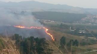 incendio no parque do itaim incendio no parque do itaim
