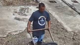 Cachorro abandonado em Pinda Cachorro abandonado em Pinda