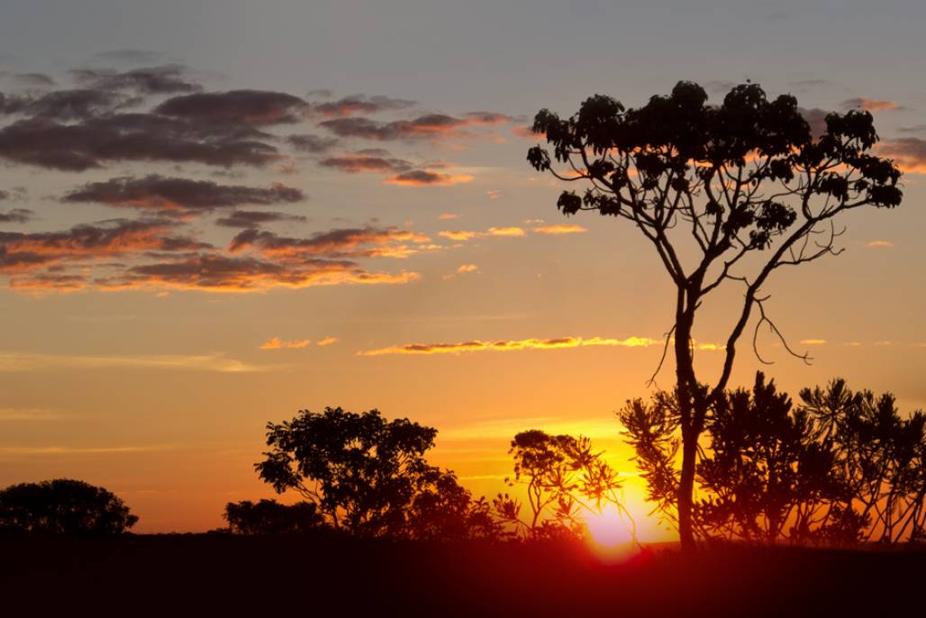 parque do cerrado (Divulgação) parque do cerrado (Divulgação)