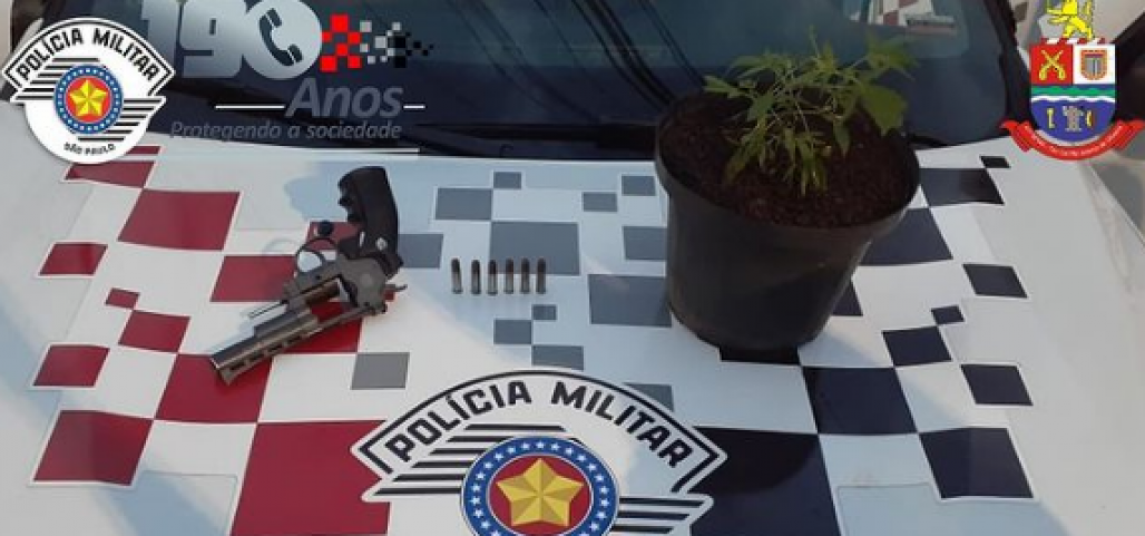 maconha (Polícia Militar) maconha (Polícia Militar)