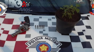 maconha maconha