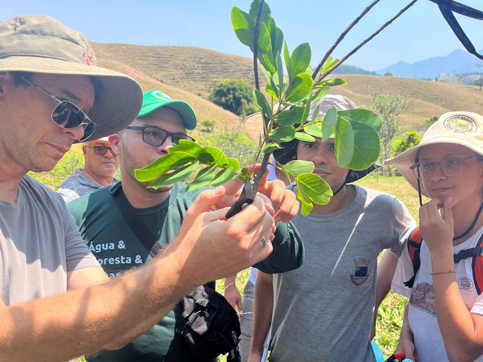 Areias sedia capacitação sobre inventários florísticos